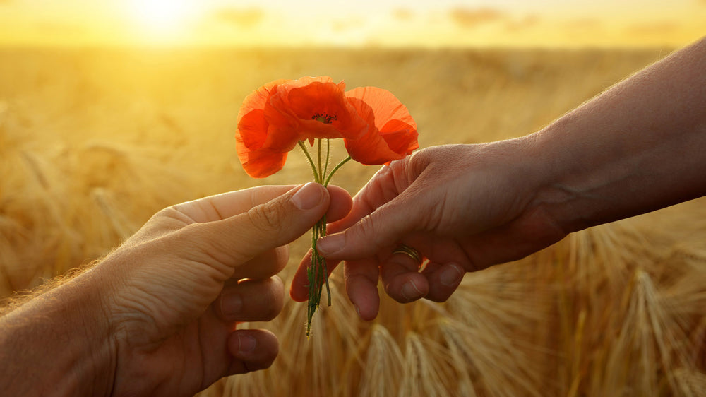 Give with a yogic heart this Christmas