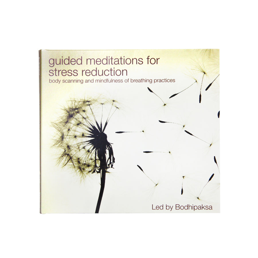 Guided Meditation for Stress Reduction