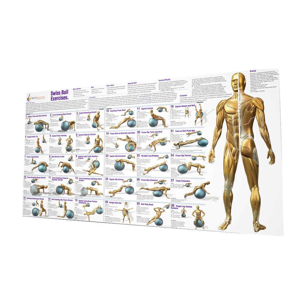 Stretch Exercise Posters Posters - Stretch Now